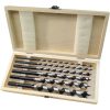 Extol Premium fafúró klt. 6 db, 6-8-10-12-16-20×260mm, csavaros heggyel, hatszög befogás; fa dobozban