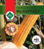 MV Koppány takarmánykukorica vetőmag, 1kg
