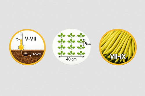 Garafarm maxidor sárgahüvelyű bokorbab, 45g