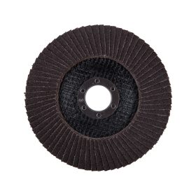   Extol prémium lamellás csiszoló acél, Alu, műa. és fa munkadarabok csiszolására, 125×22mm; P100, kúpos,max.:12.300 ford./perc, EN13743