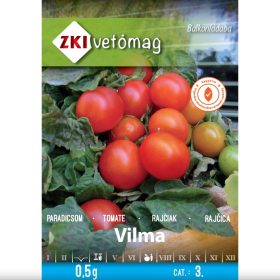 ZKI vetőmag 3.kategória, Vilma paradicsom, balkonládába