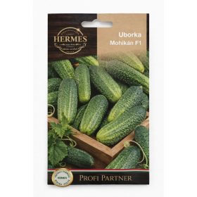 Hermes vetőmag,  Mohikán F1 uborka